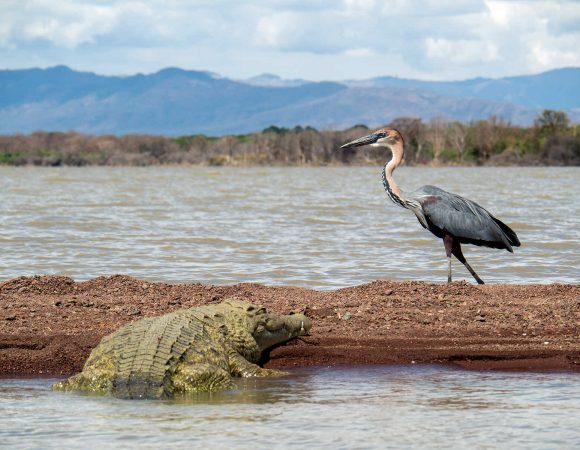 Lake Chamo